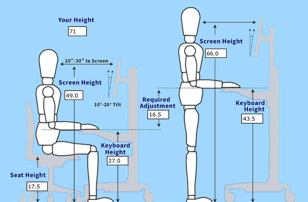 WHAT IS ERGONOMICS?