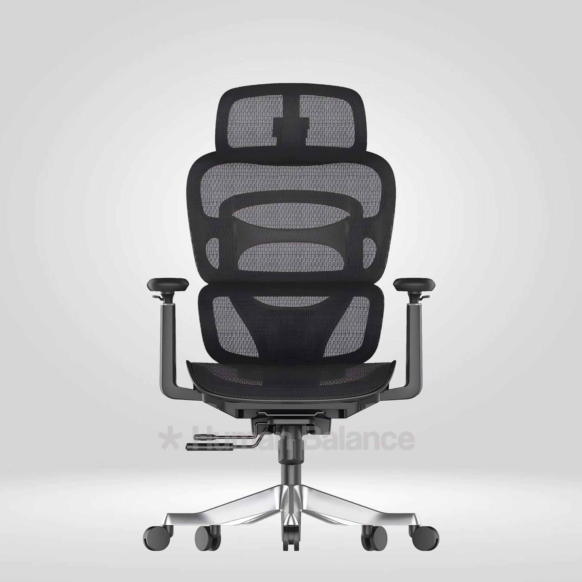 Maxillence HB Black