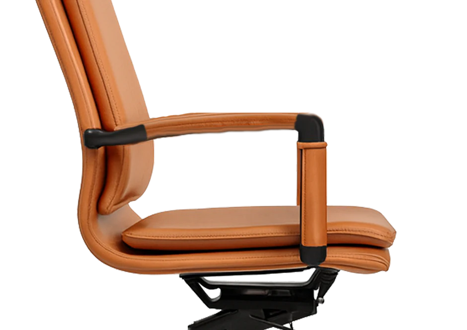 Generous Ergonomic Curve