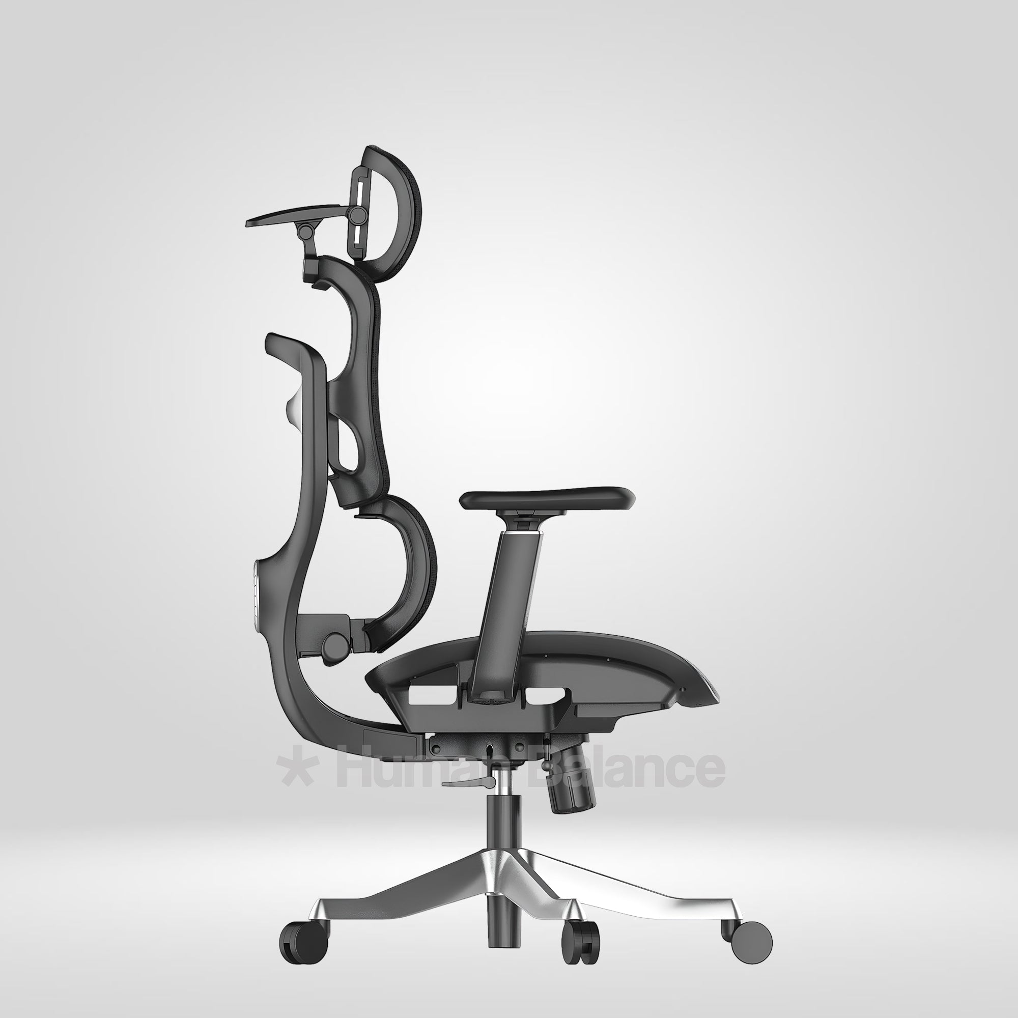 Maxillence HB Black