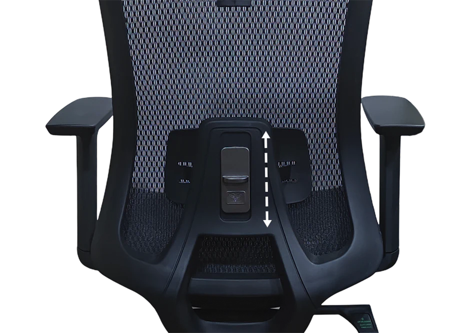 Four Way Adjustable Lumbar Support