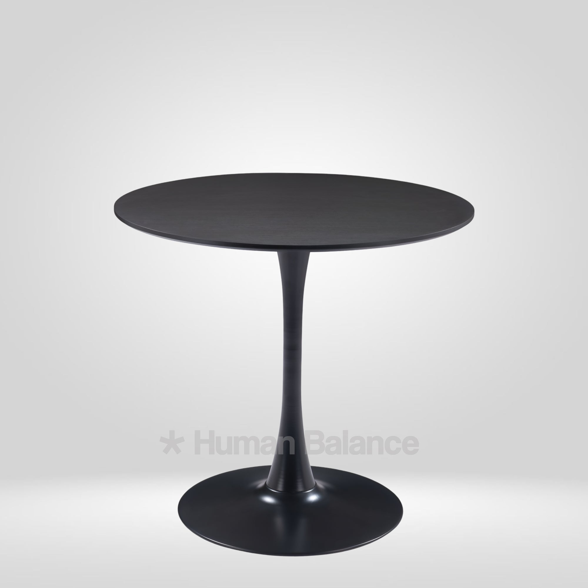 Igloo Black