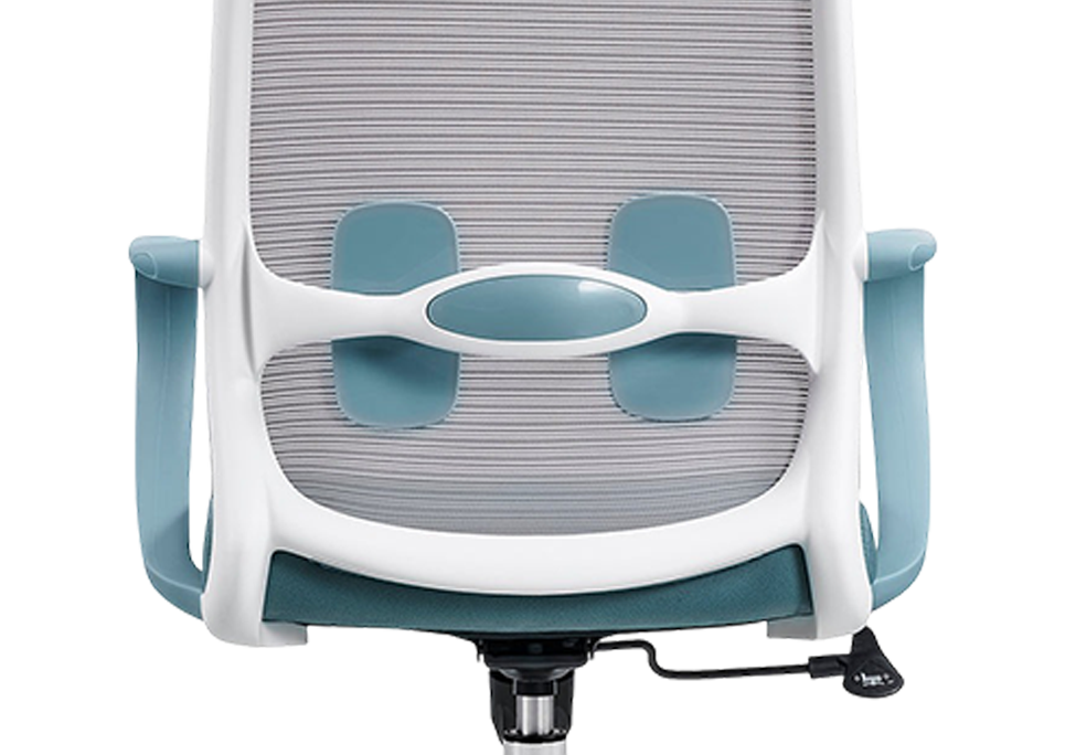 Fixed Twin Pad Lumbar Support
