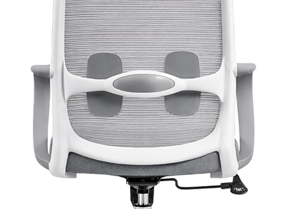 Fixed Twin Pad Lumbar Support
