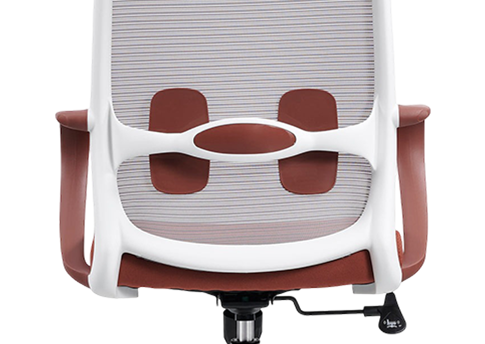 Fixed Twin Pad Lumbar Support