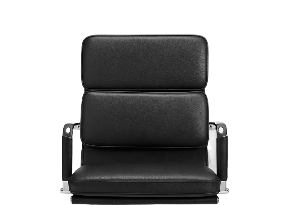 Generously Padded Seat & Backrest