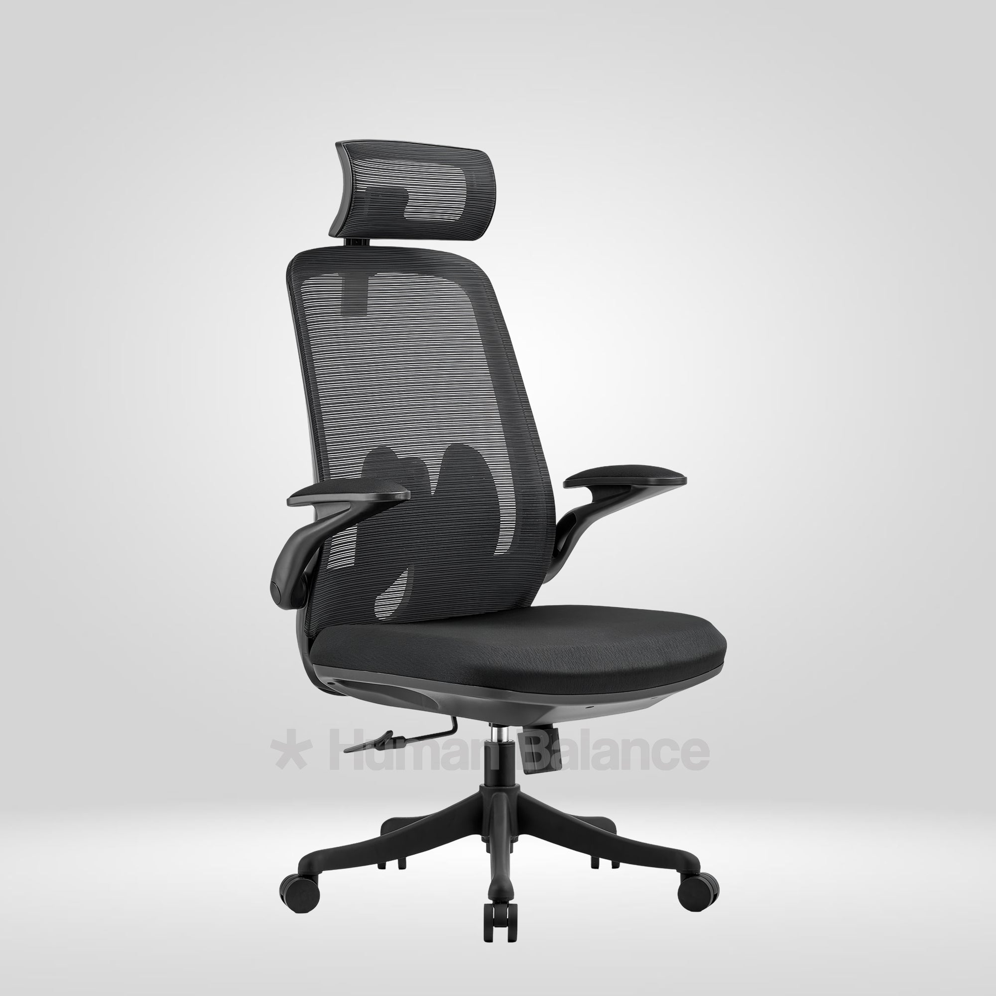 Black Flyte HB