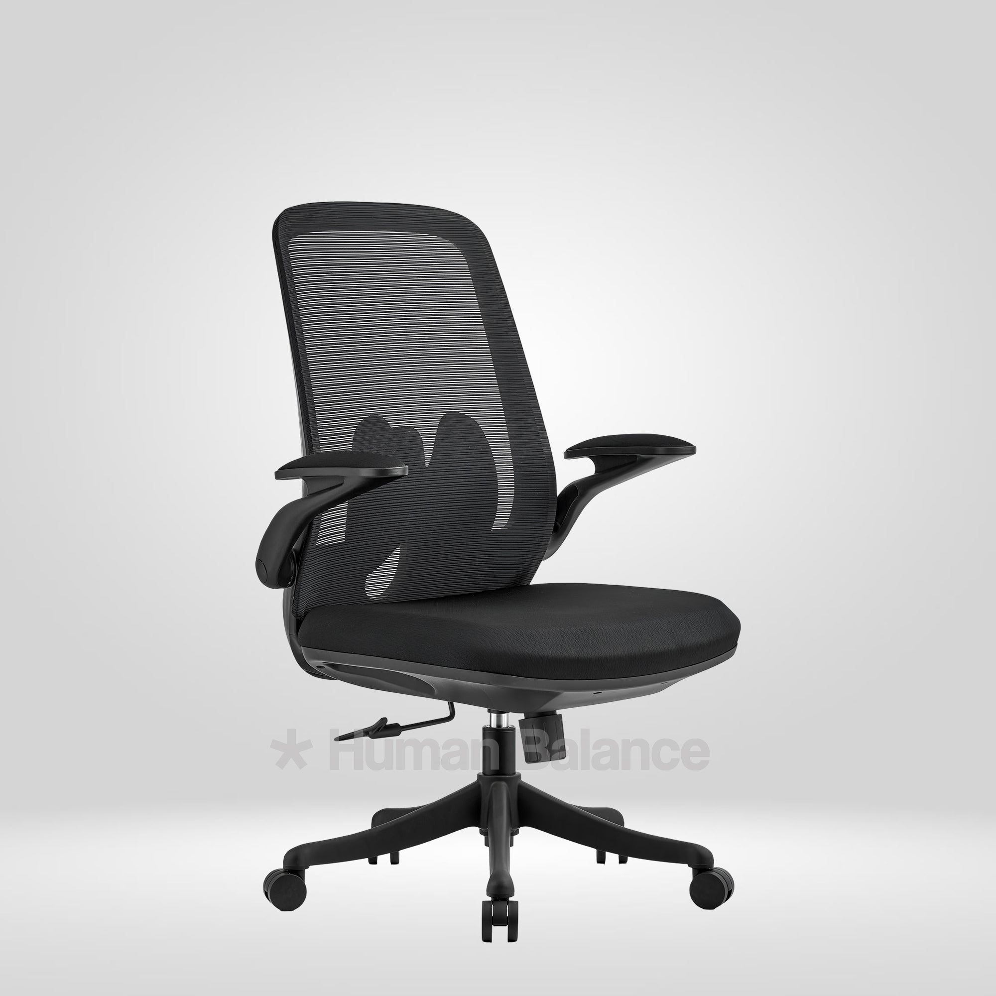 Black Flyte MB