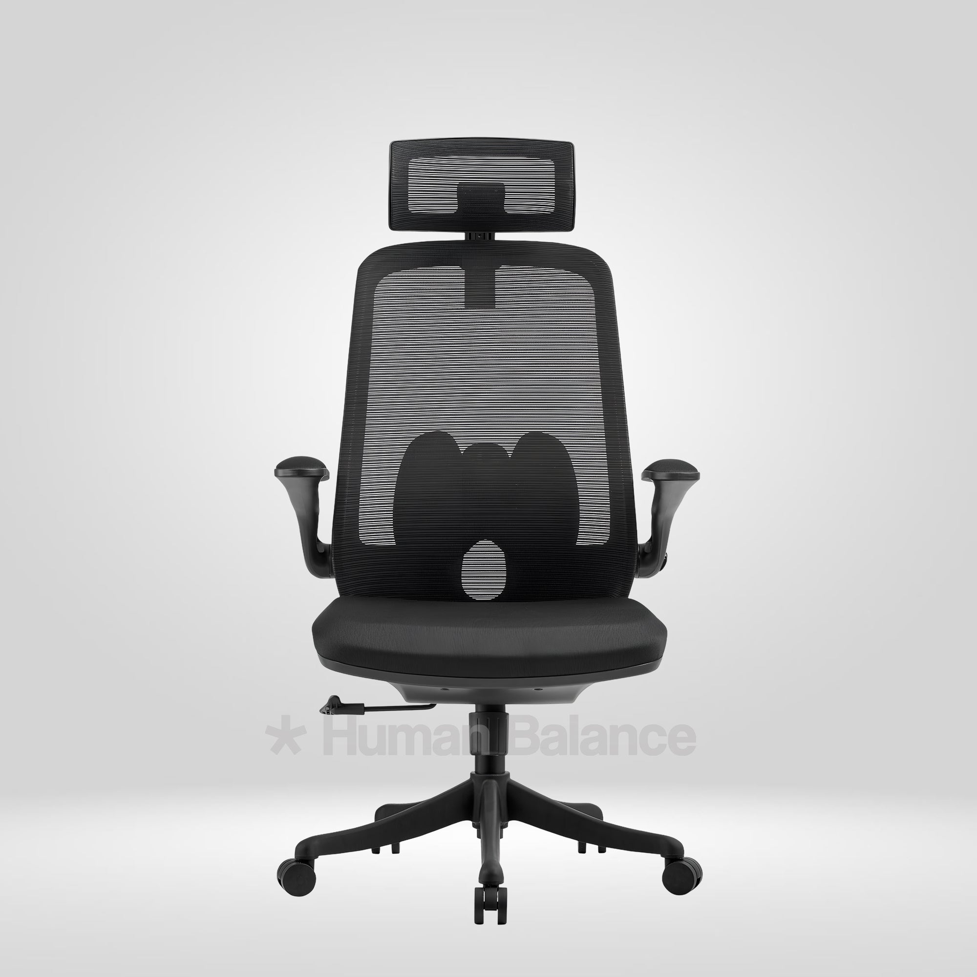 Black Flyte HB