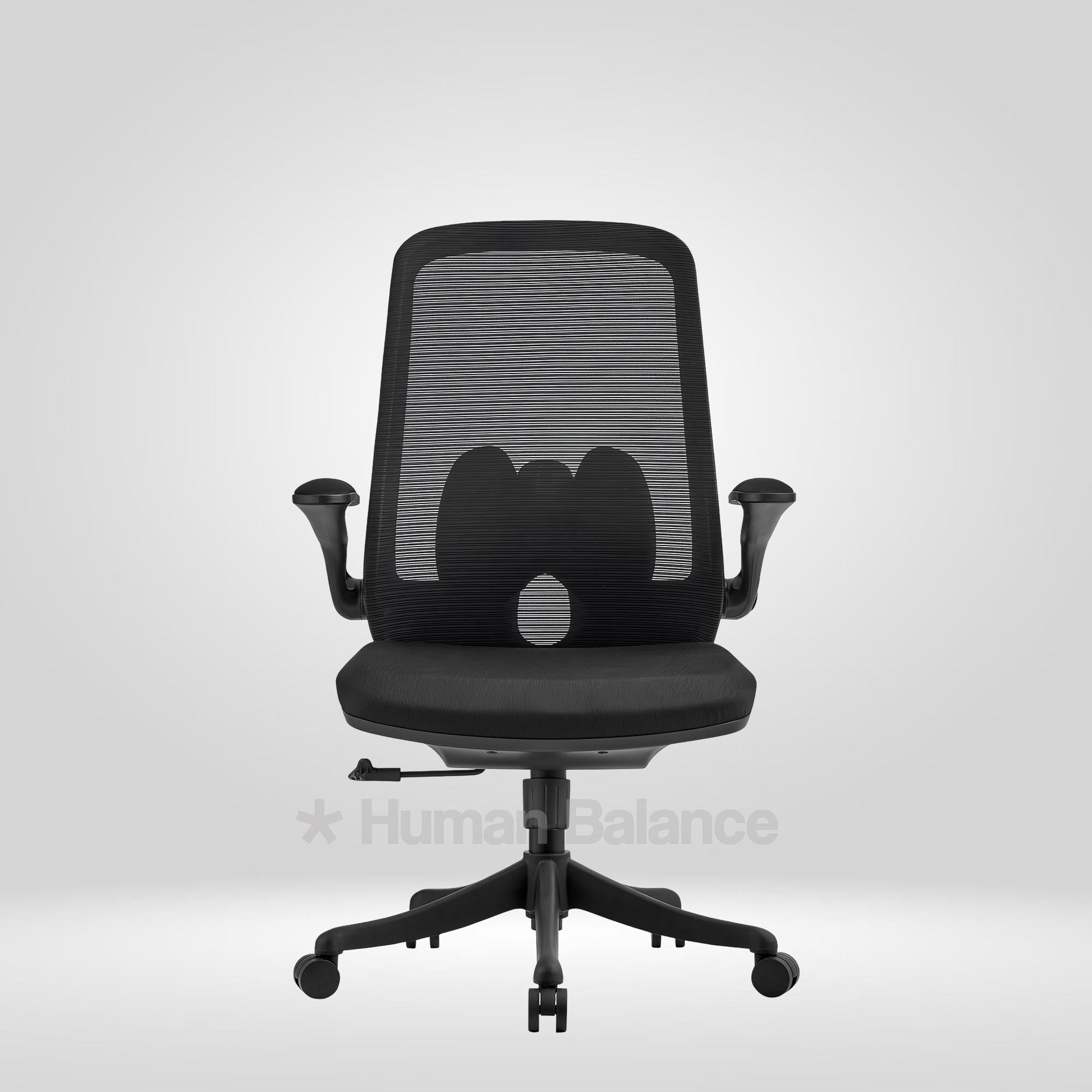 Black Flyte MB