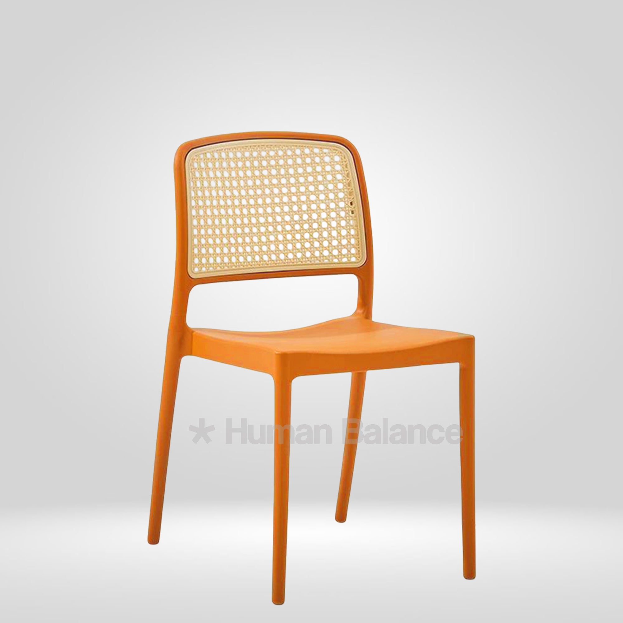 Caniche ( Pack of 2 )