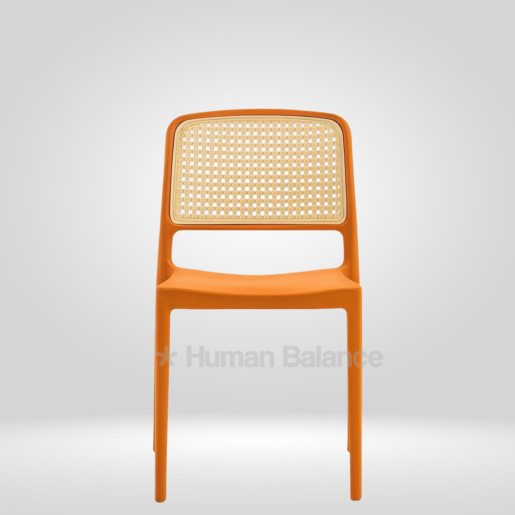 Caniche ( Pack of 2 )