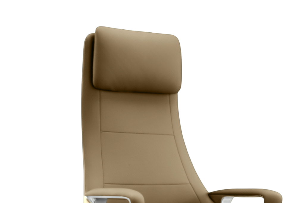 Integrated Cushioned Headrest