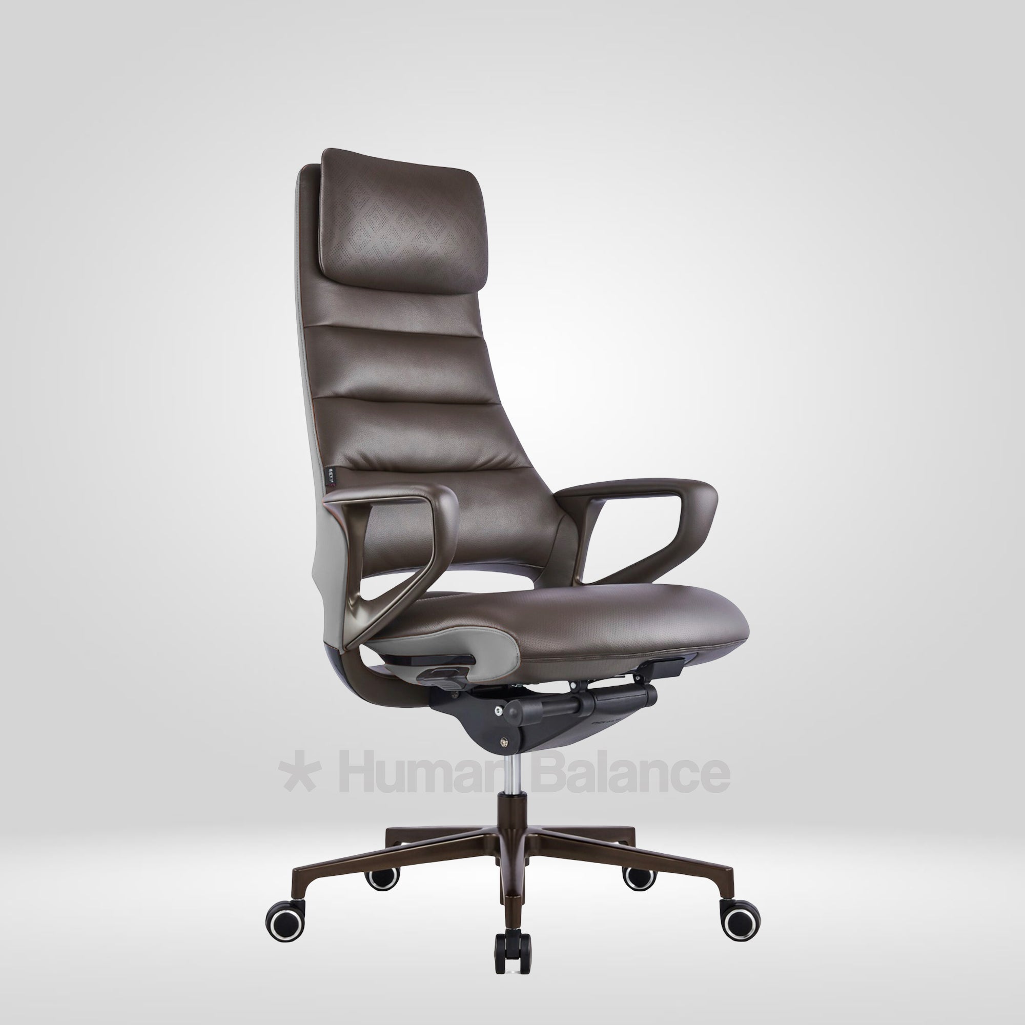 Castelino Chocolate Brown HB