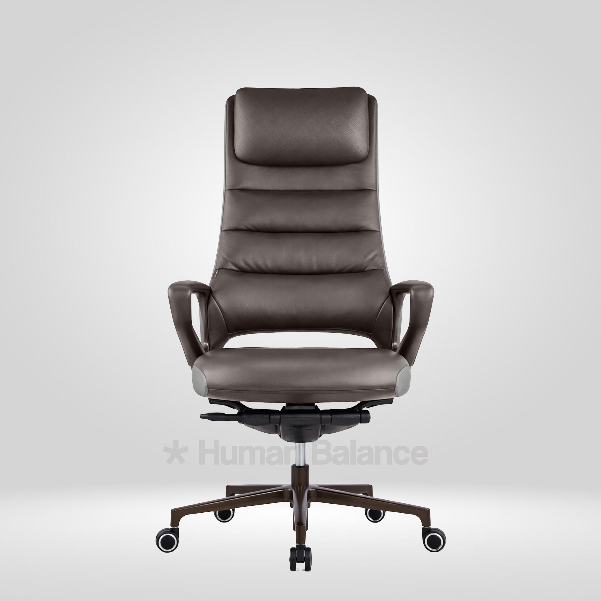 Castelino Chocolate Brown HB