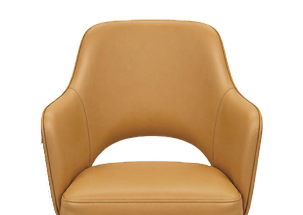 Cico (Leather) Banner 3