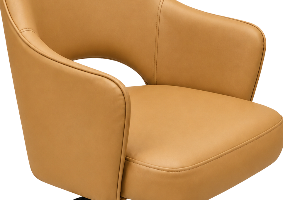 Cico (Leather) Banner 2
