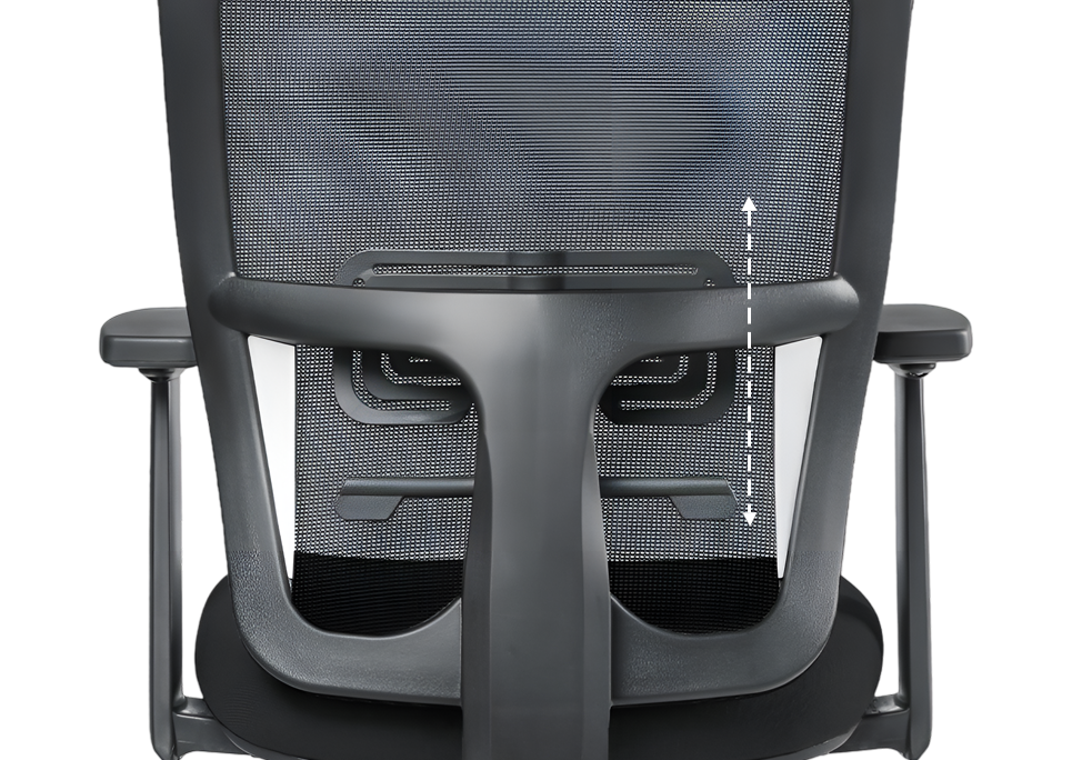 Dual Axis Lumbar Adjustment