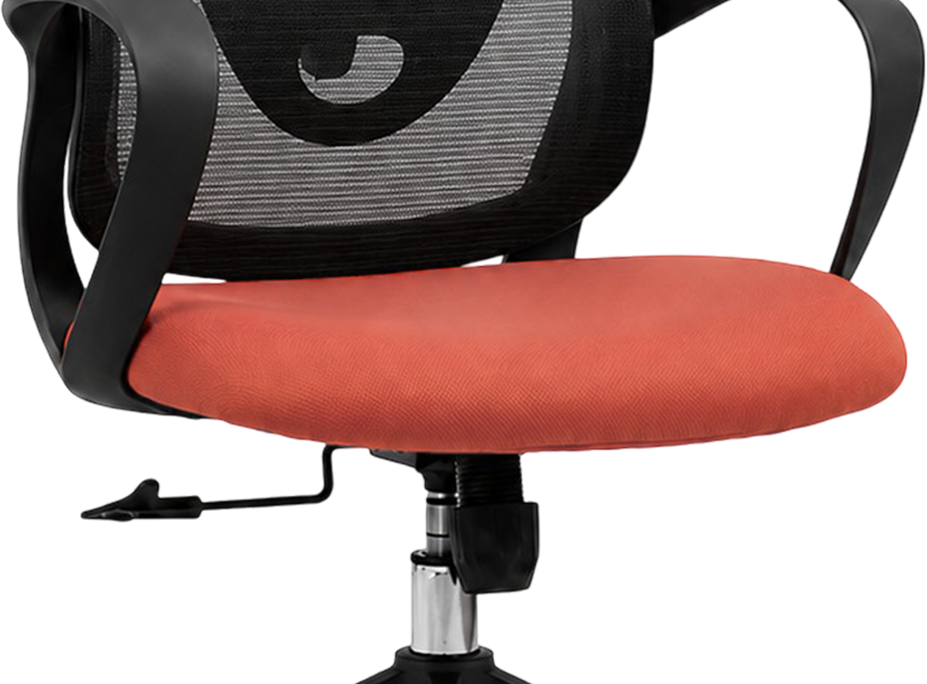 Medium Density Cushioned Seat
