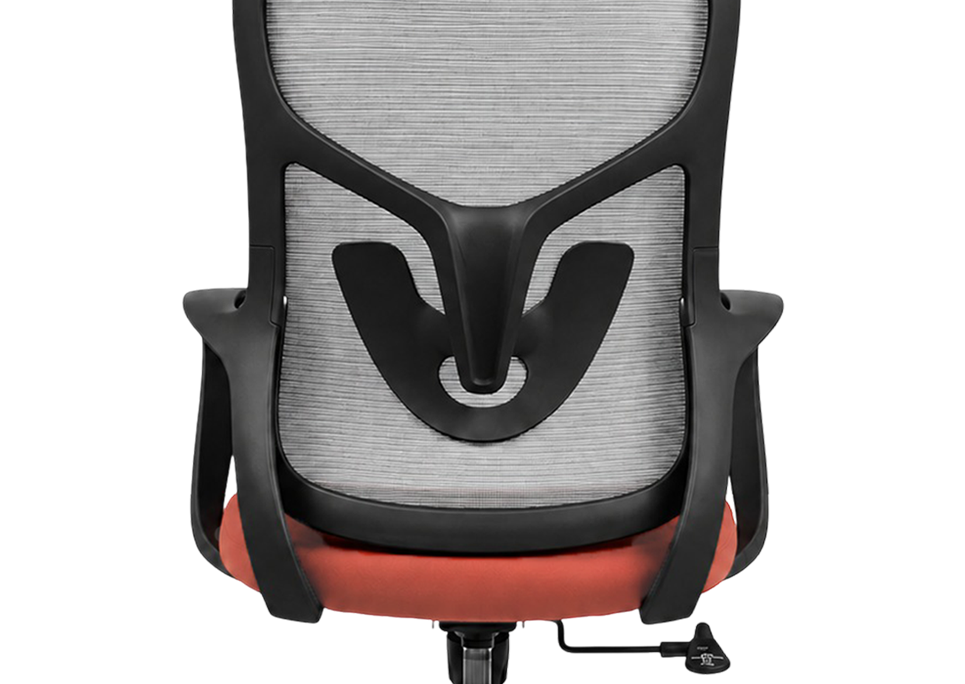 Integrated Lumbar Support