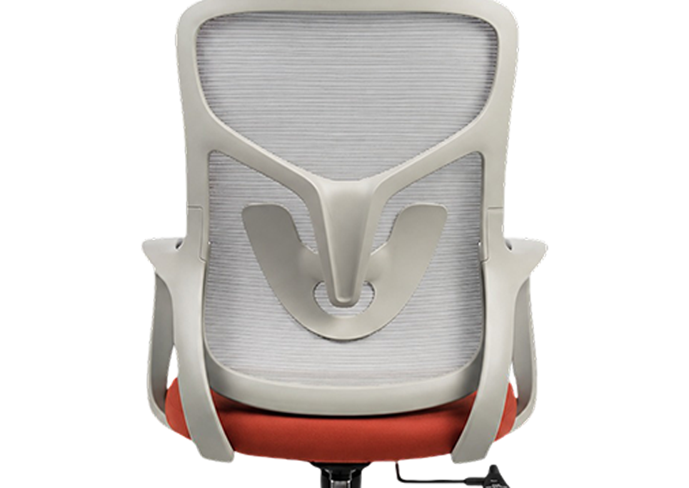 Integrated Lumbar Support