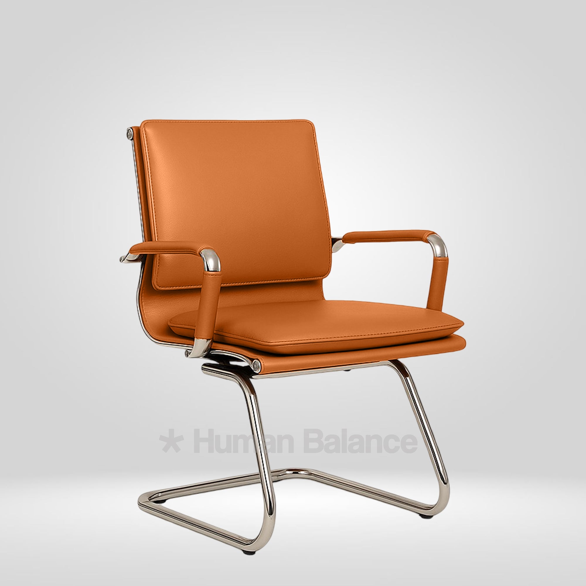 Garman Cantilever Double Cushion