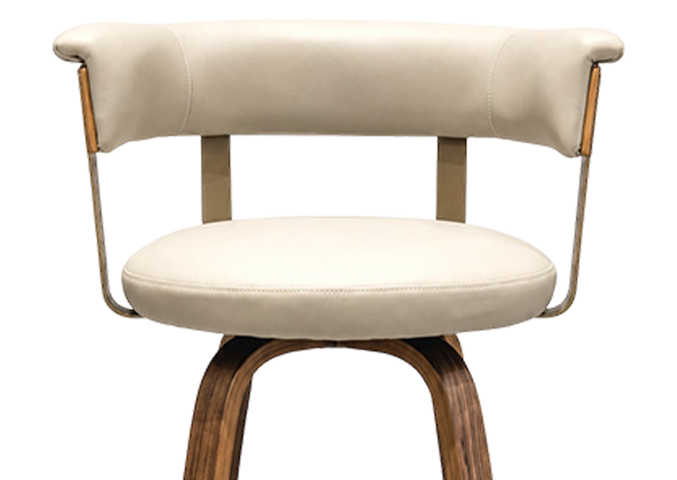 Cushioned Seat & Backrest 