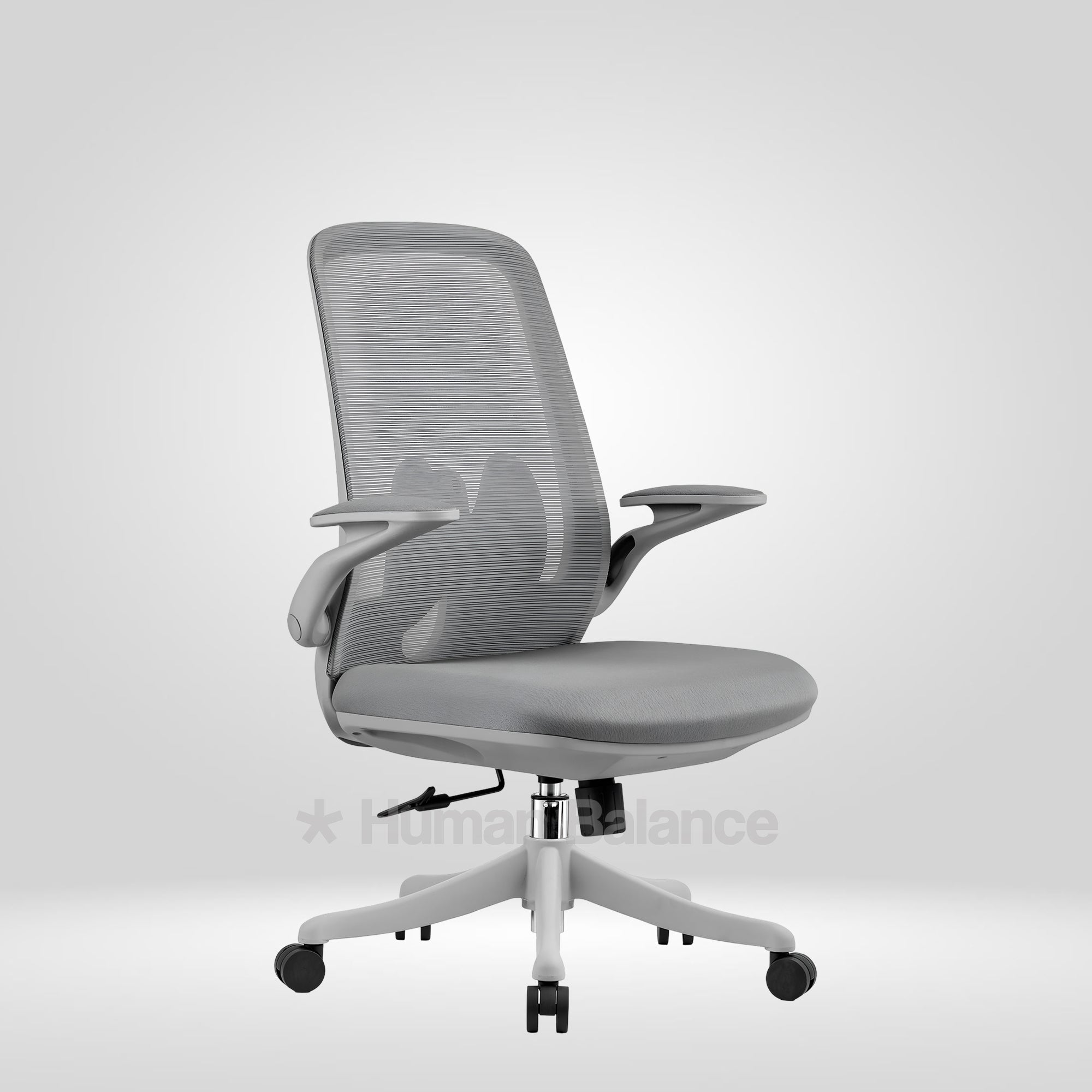 Grey Flyte MB