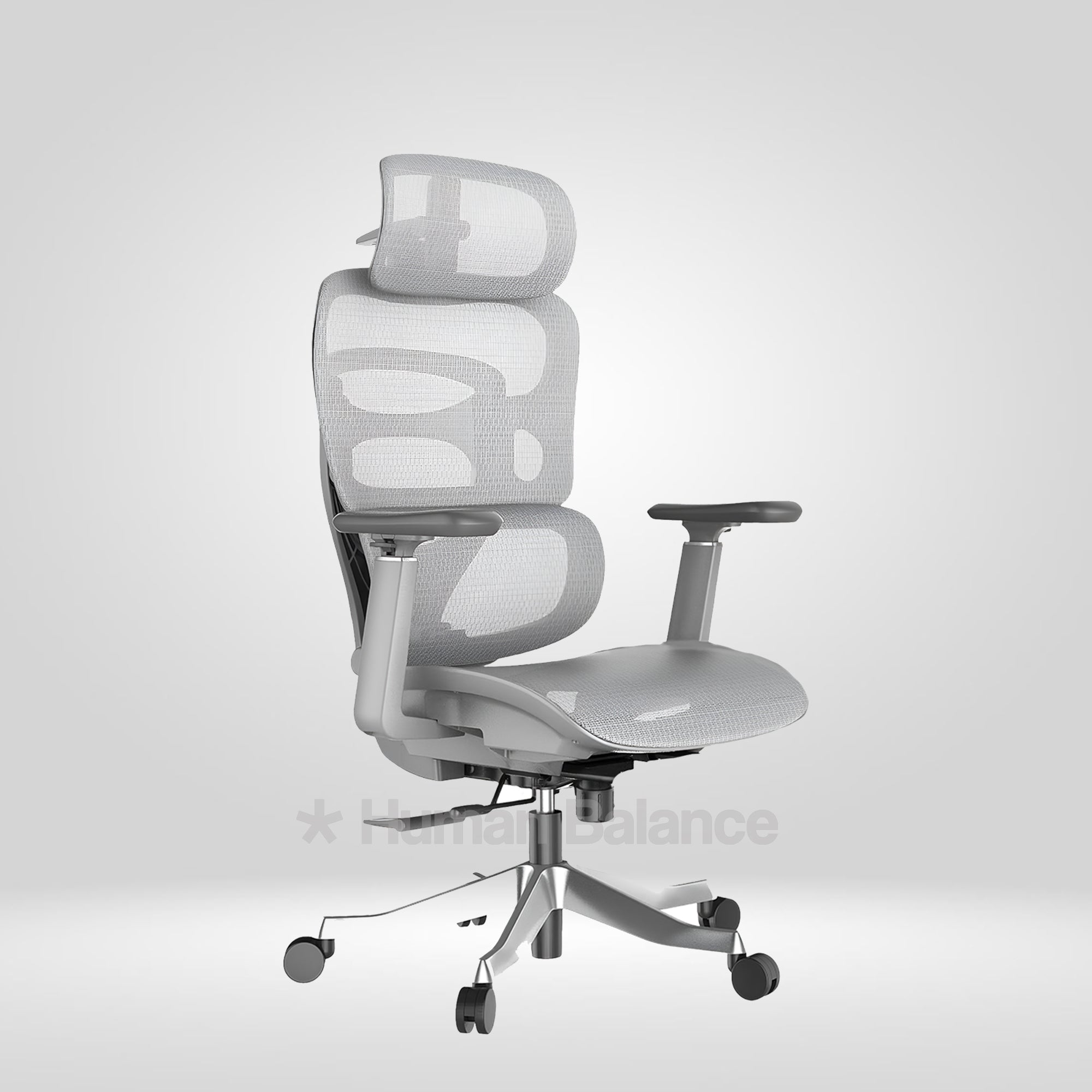 Maxillence HB Grey