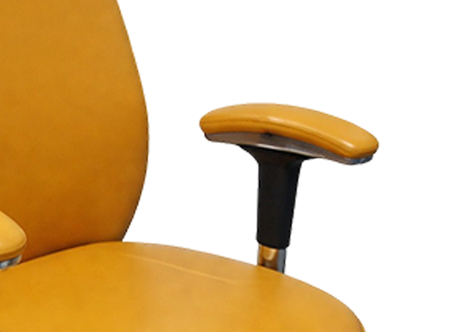 Padded Armrests