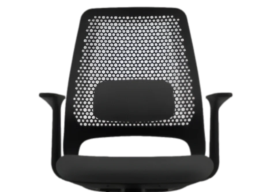 Padded Lumbar Cushion