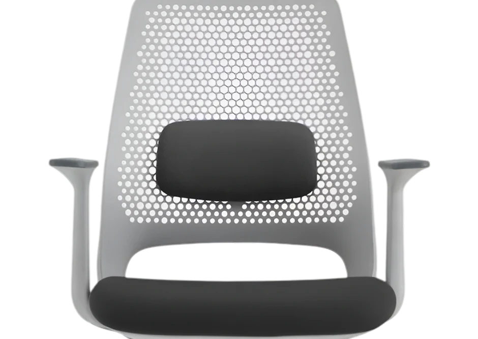 Padded Lumbar Cushion