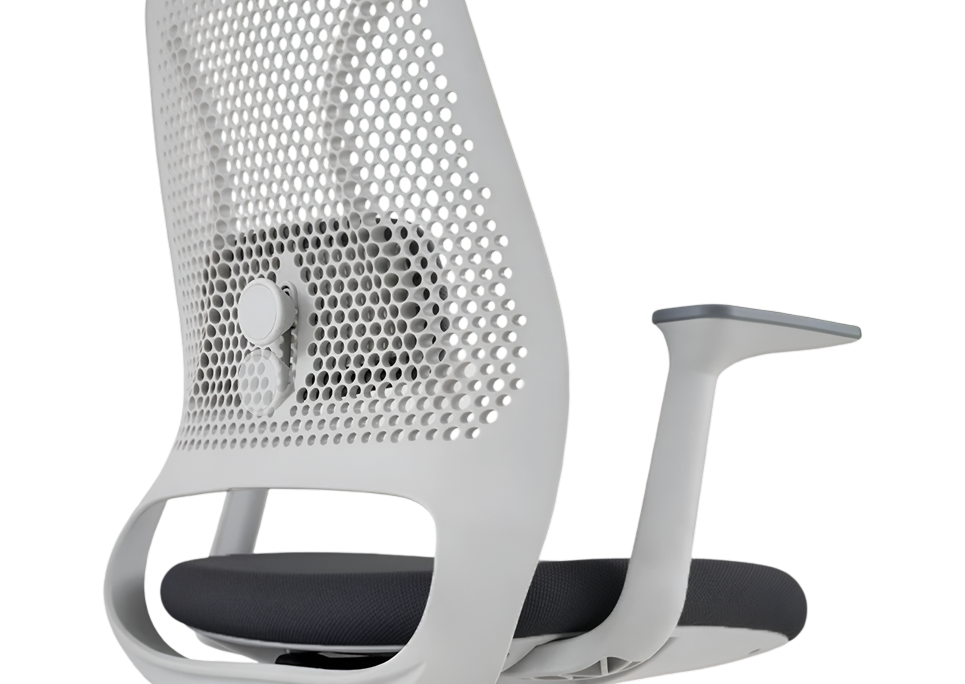 Adjustable Lumbar Support