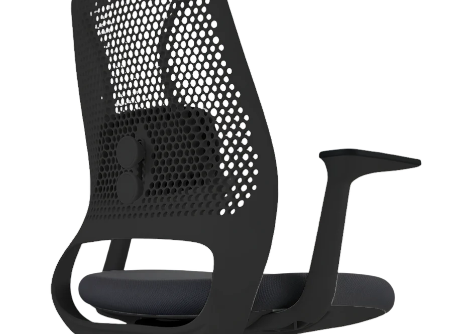 Adjustable Lumbar Support