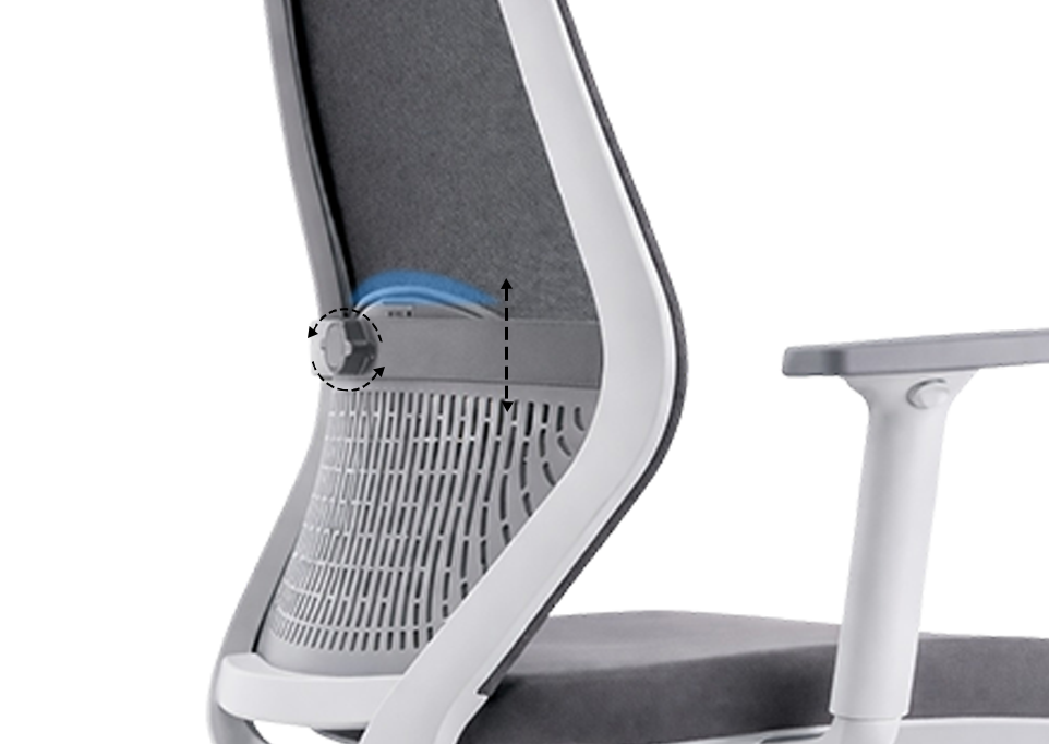 Flex Band Lumbar Support