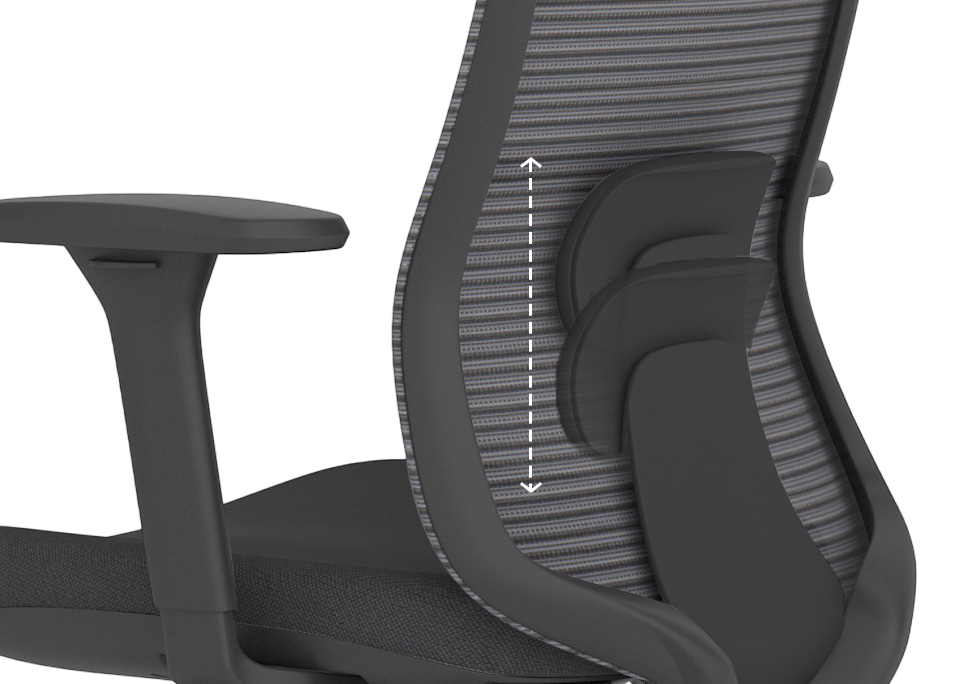 Adjustable Lumbar Support