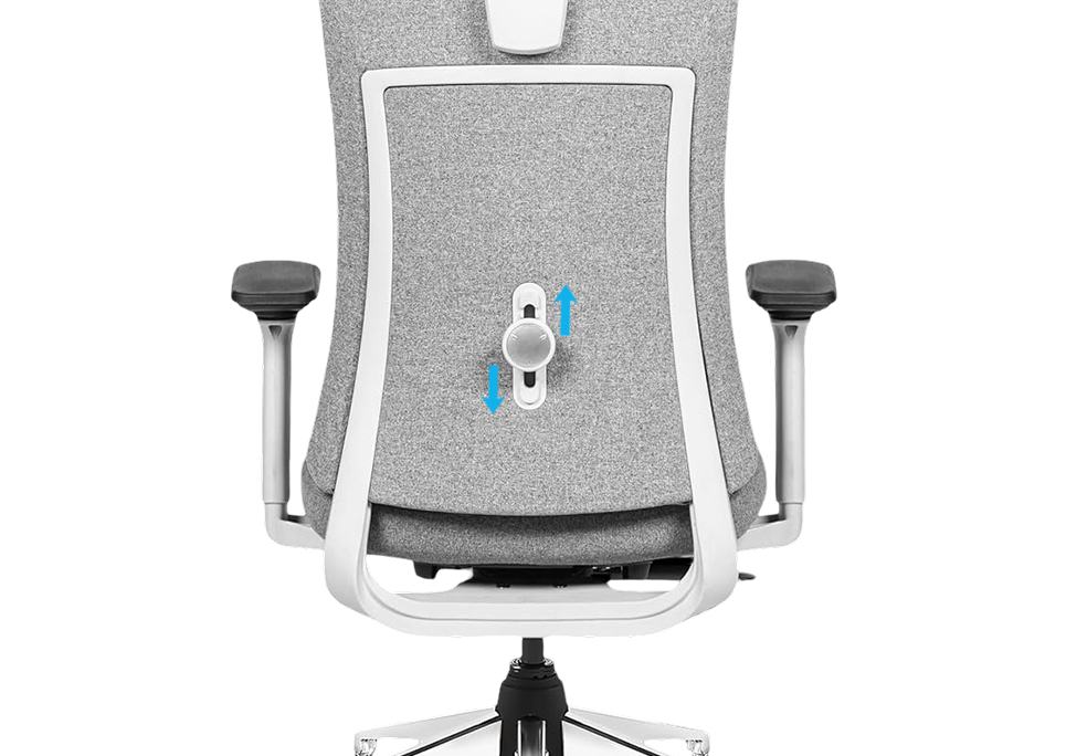 Lumbar Support With Vertical Adjustment
