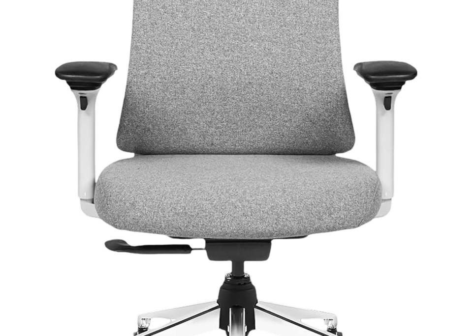 Medium Density Cushioned Seat