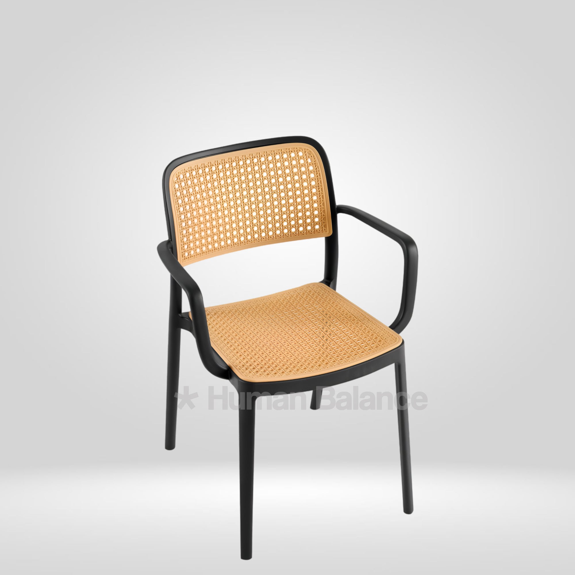 Magner with Arms Black ( Pack Of 2 )