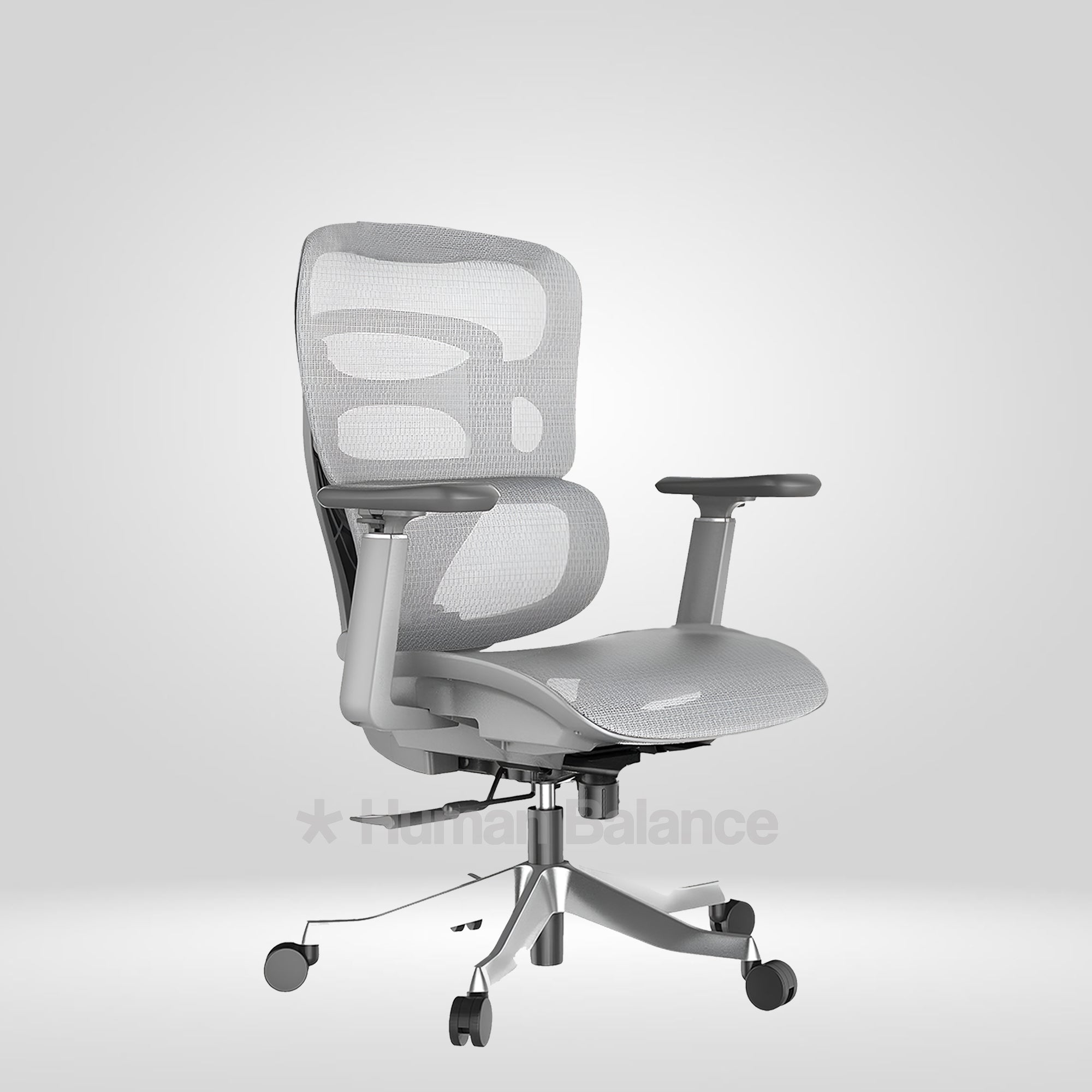 Maxillence MB Grey