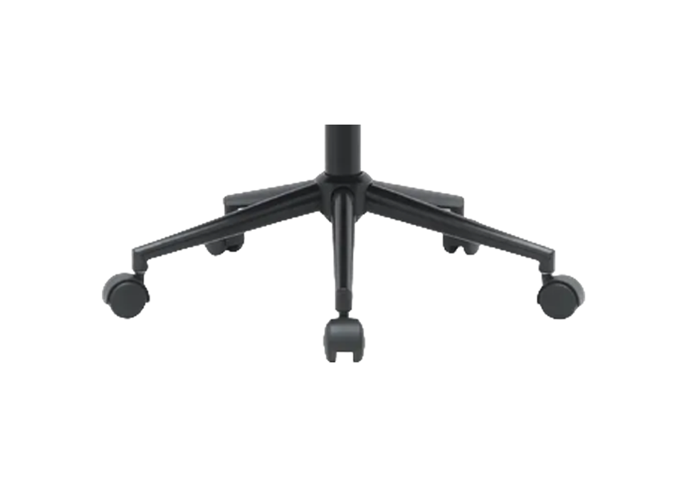 Maestria 6