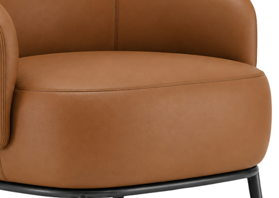 Ultra Plush High Density Cushion