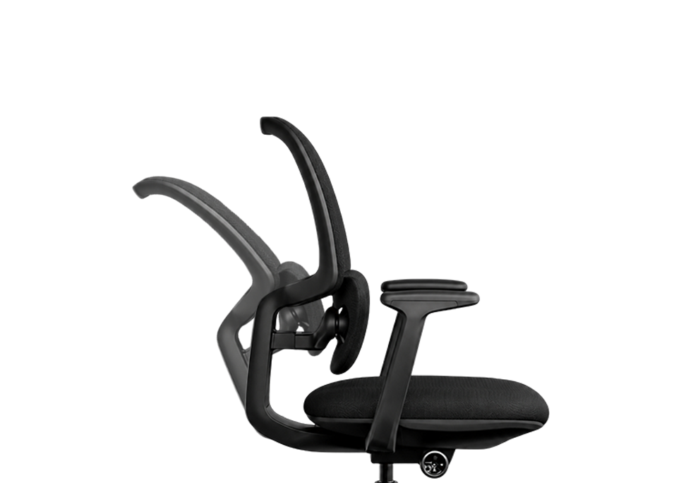Pomegranate Black MB 3