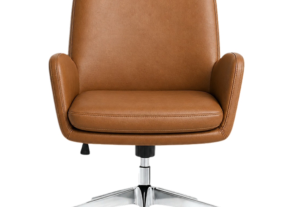 Smooth Flat Cushion