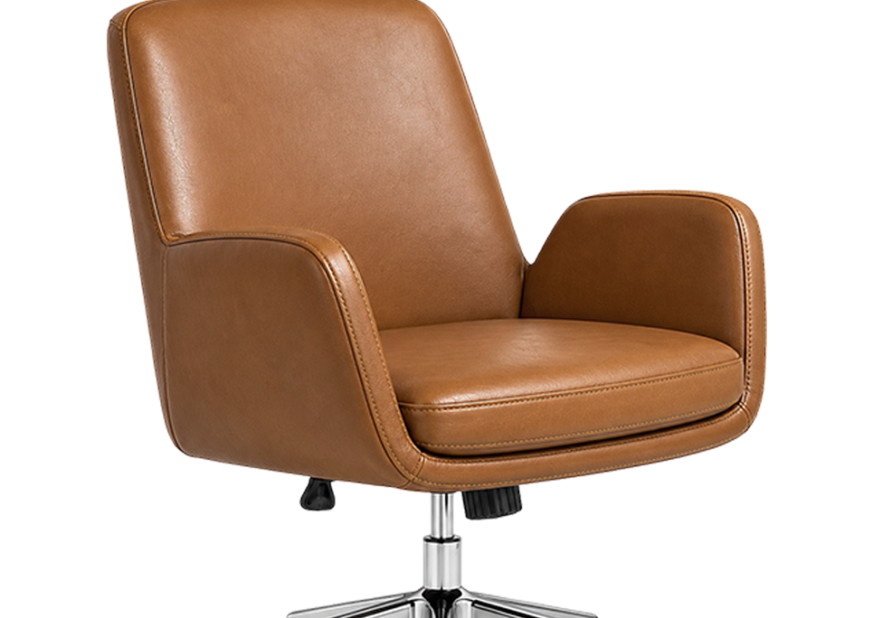 Cushioned Backrest & Seat