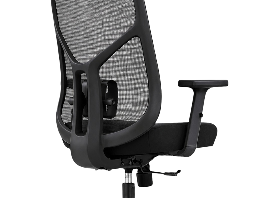 Adjustable Lumbar Support