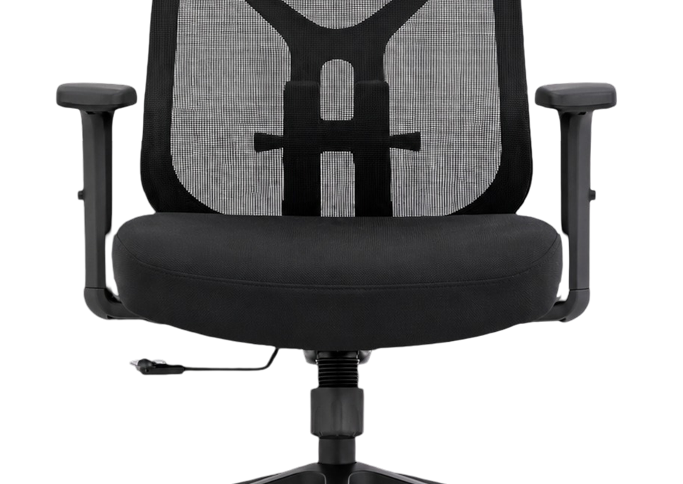 Adjustable Lumbar Support