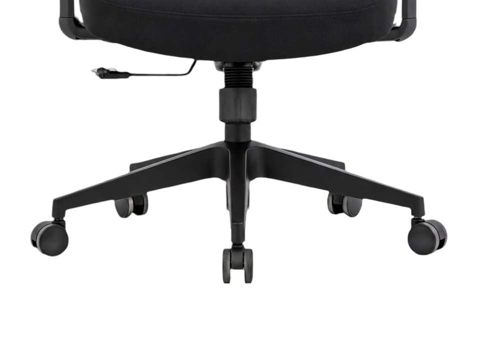 Orbis Nylon Base