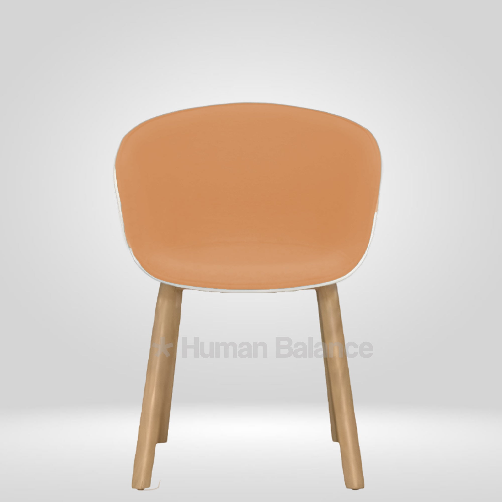 Rhino Orange with Cushion ( Pack Of 2 )