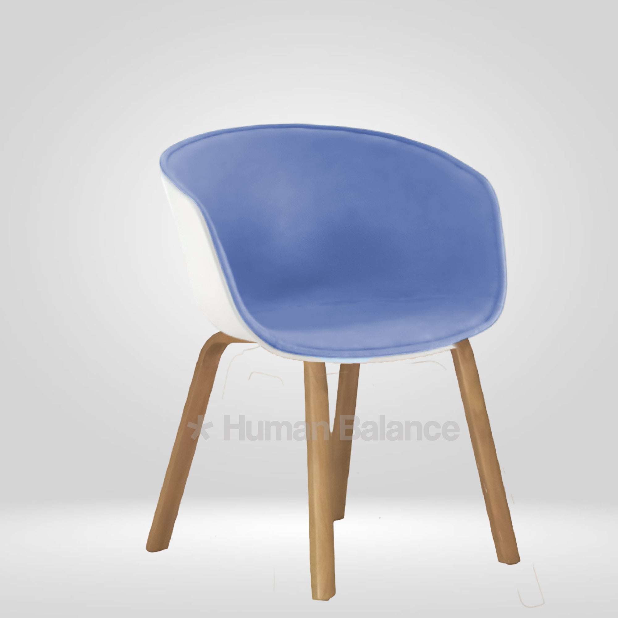 Rhino Blue with Cushion ( Pack Of 2 )